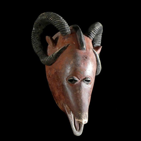 Masque Zoomorphe Belier - Gouro - Côte d'Ivoire