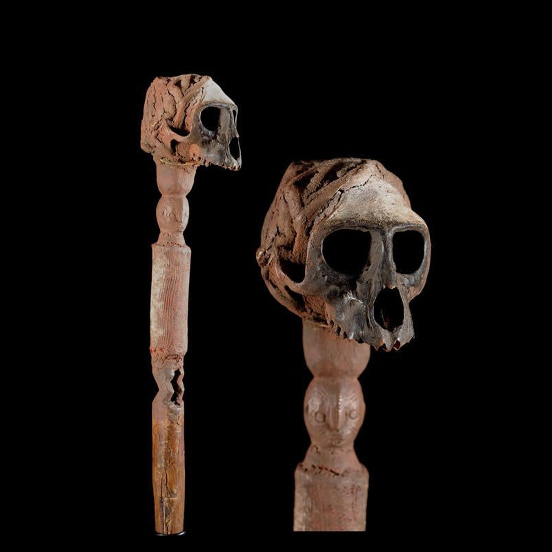 Sceptre de dignitaire - Ngbaka / Zande - RDC Zaire - Regalia