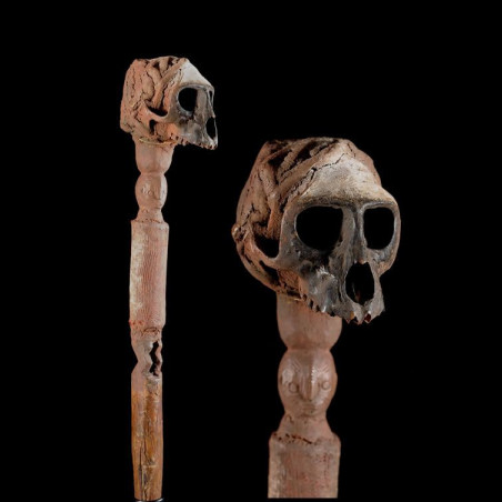 Sceptre de dignitaire - Ngbaka / Zande - RDC Zaire - Regalia