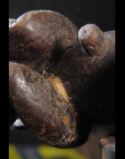 Gardien de reliquaire Biery Suintant - Fang / Ntumu - Gabon