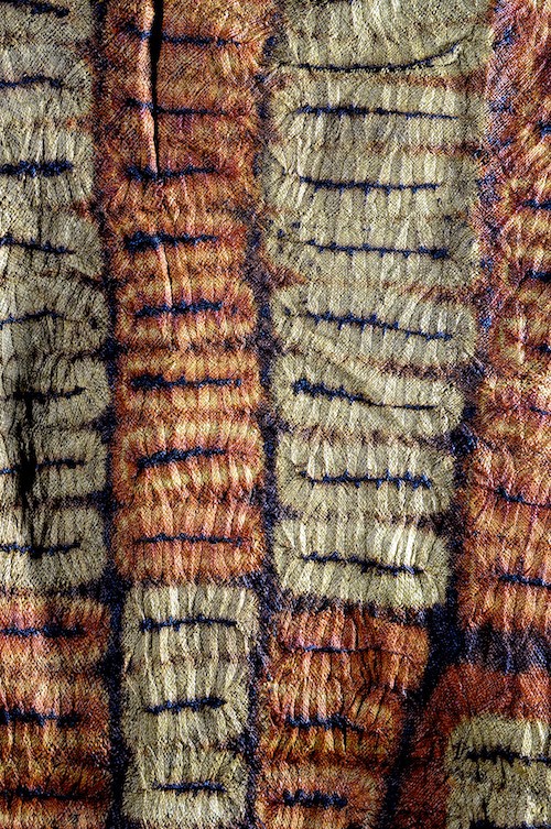 Foulard de tête en écorce battue - Dida - Côte d'Ivoire