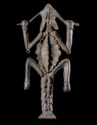 Plaque Pectorale lapin - Lobi / Toussian - Burkina Faso