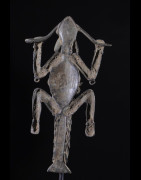 Plaque Pectorale lapin - Lobi / Toussian - Burkina Faso