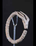 Bracelet en fer noir Nyikaryi - Senoufo - Côte d'Ivoire
