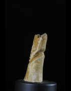 Statuette insigne Iginga en os - Lega - RDC Zaire