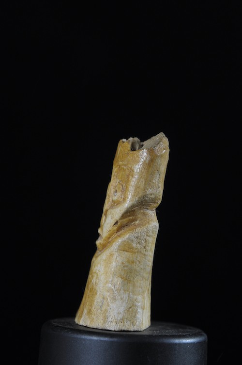Statuette insigne Iginga en os - Lega - RDC Zaire