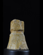Statuette insigne Iginga en os - Lega - RDC Zaire