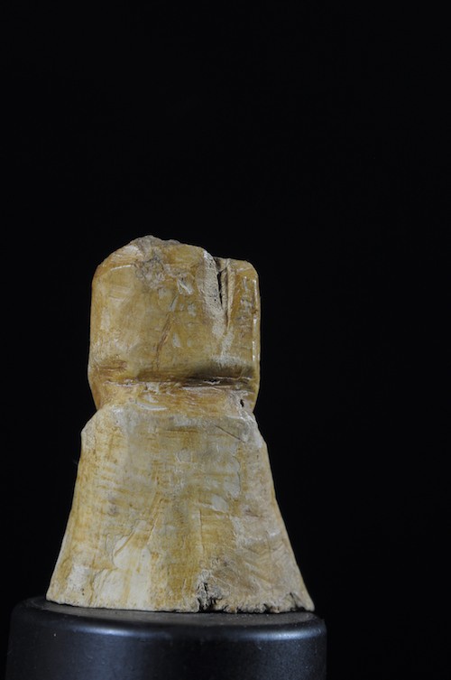 Statuette insigne Iginga en os - Lega - RDC Zaire