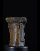 Statuette insigne Iginga en os - Lega - RDC Zaire