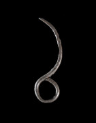 Couteau de doigt Ararait - Turkana / Acholi - Kenya