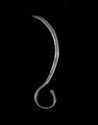 Couteau de doigt Ararait - Turkana / Acholi - Kenya