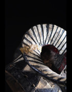 Restauration objets arts primitifs - Corne Brisee