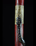 Canne de dignitaire polychrome - Baoule - Côte d'Ivoire - Objets de regalia