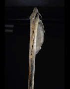 Canne de dignitaire - Bwa - Burkina Faso - Objets de regalia