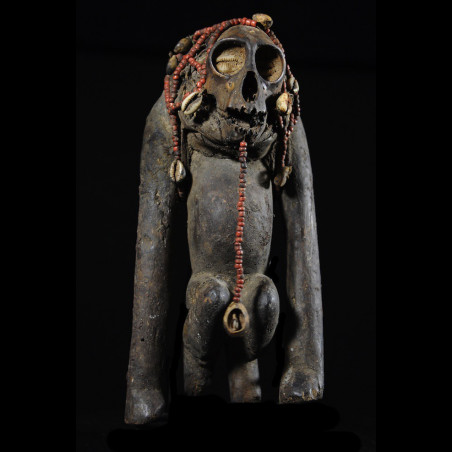 Singe Ngil - Bulu / Boulou - Cameroun