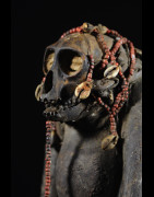 Singe Ngil - Bulu / Boulou - Cameroun