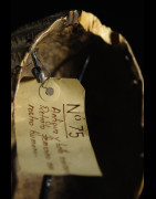Masque rituel de réjouissances - Dan - Côte Ivoire