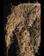 Masque facial - Ekoi / Ejagham - Nigeria