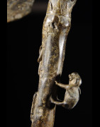 Darba Régalia en bronze - Ashanti - Ghana