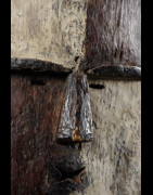 Masque Ngoye - Adouma - Gabon
