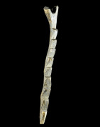 Autel echelle des esprits - Dogon - Mali - Mythologie Africaine