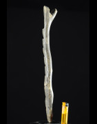Autel echelle des esprits - Dogon - Mali - Mythologie Africaine