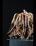 Poupee de fecondite Ngide - Turkana - Kenya