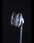Labret en bois et metal - Dinka / Pokot - Soudan / Ethiopie