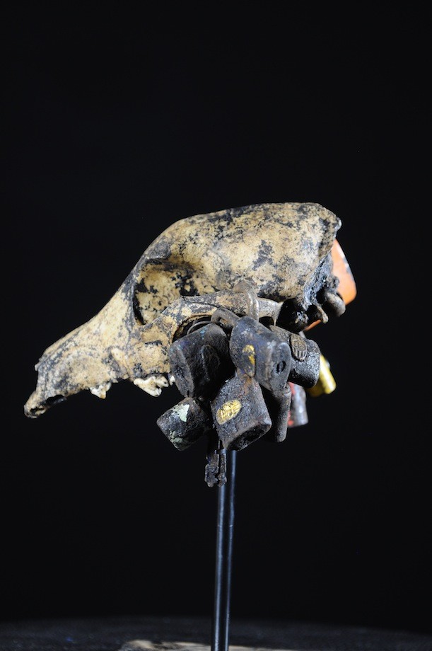 Fetiche Cadenas Crane de chien - Vaudou - Fongbe - Benin