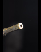 Pipe a tabac rituelle en bois et bronze - Sénoufo - Côte Ivoire