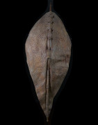 Bouclier en cuir repoussé - Nuer - Doudan du Sud / Ethiopie