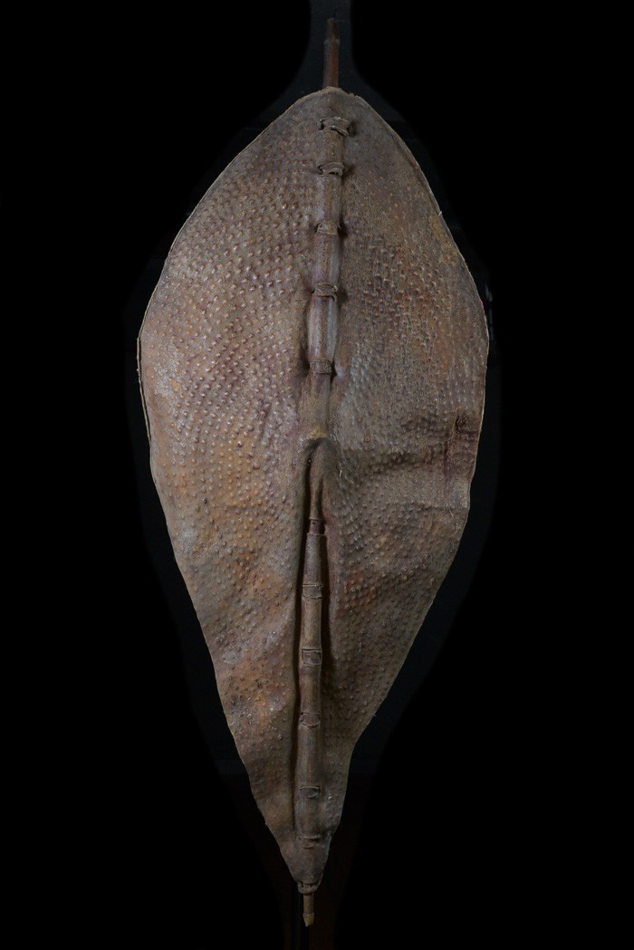 Bouclier en cuir repoussé - Nuer - Doudan du Sud / Ethiopie
