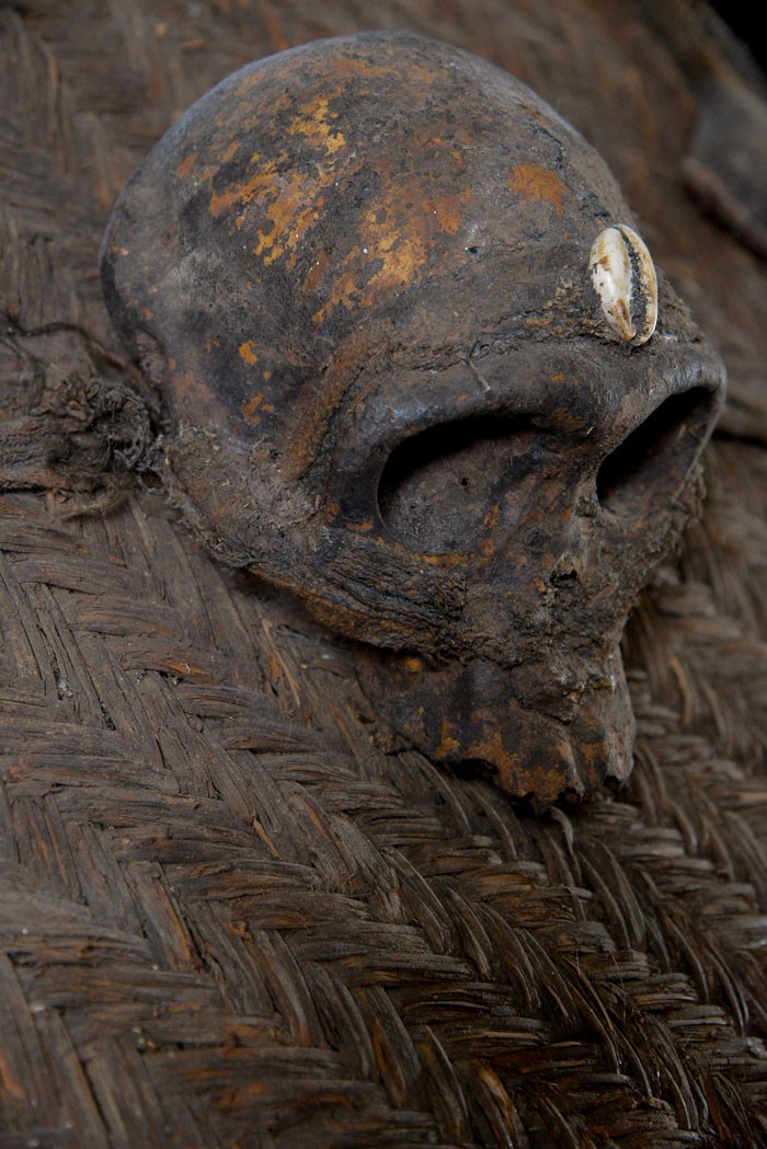 Bouclier en vannerie et crâne de singe - Pygmées Baka - Cameroun / Gabon