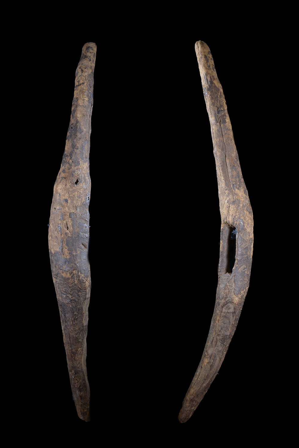 Bouclier en bois - Mumuye - Nigéria