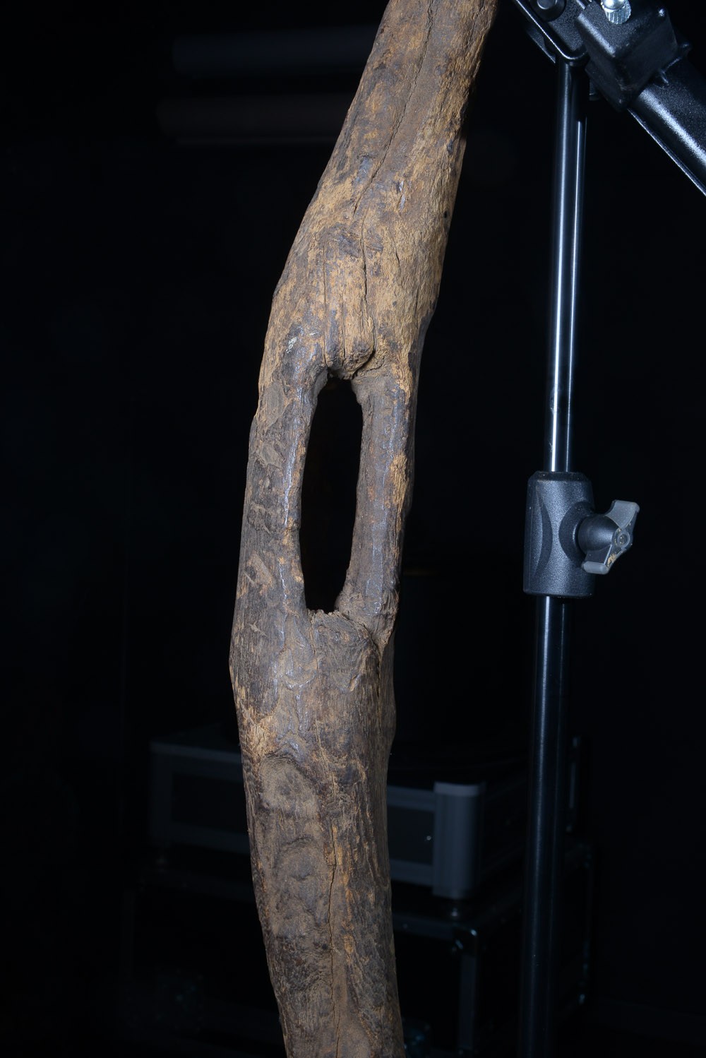 Bouclier en bois - Mumuye - Nigéria