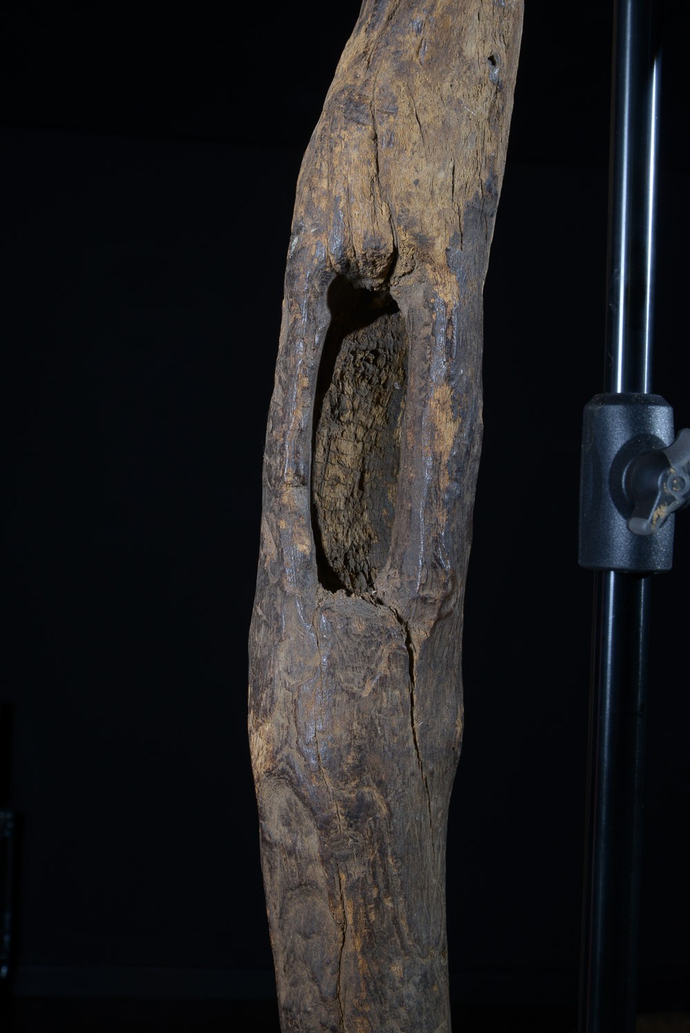 Bouclier en bois - Mumuye - Nigéria