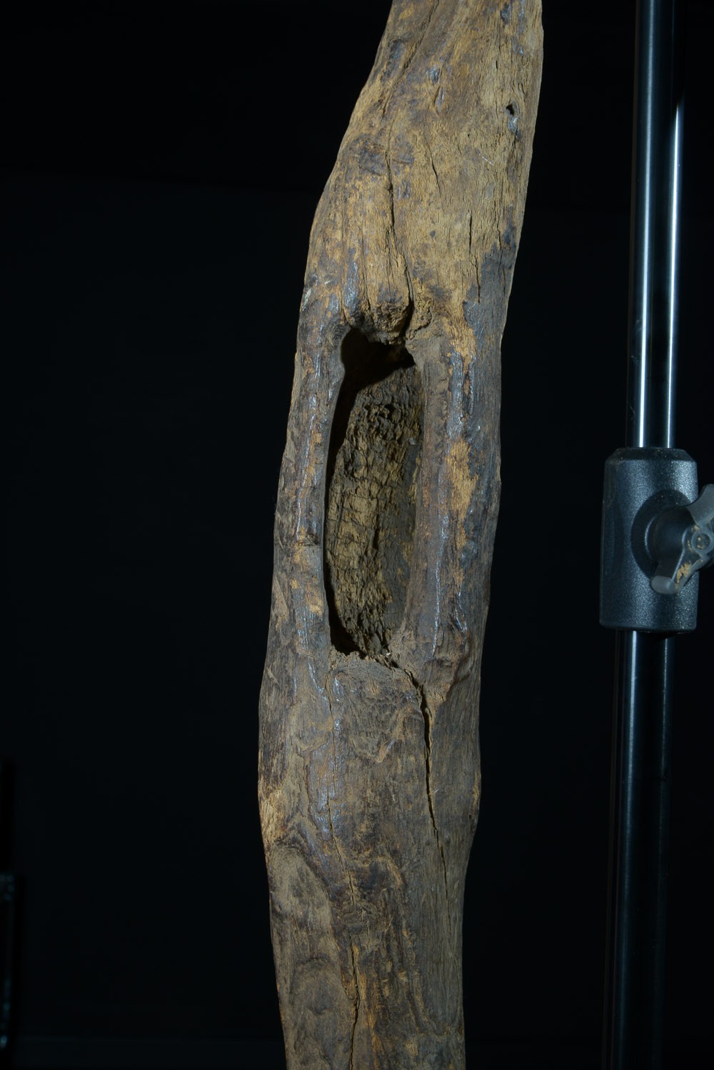 Bouclier en bois - Mumuye - Nigéria