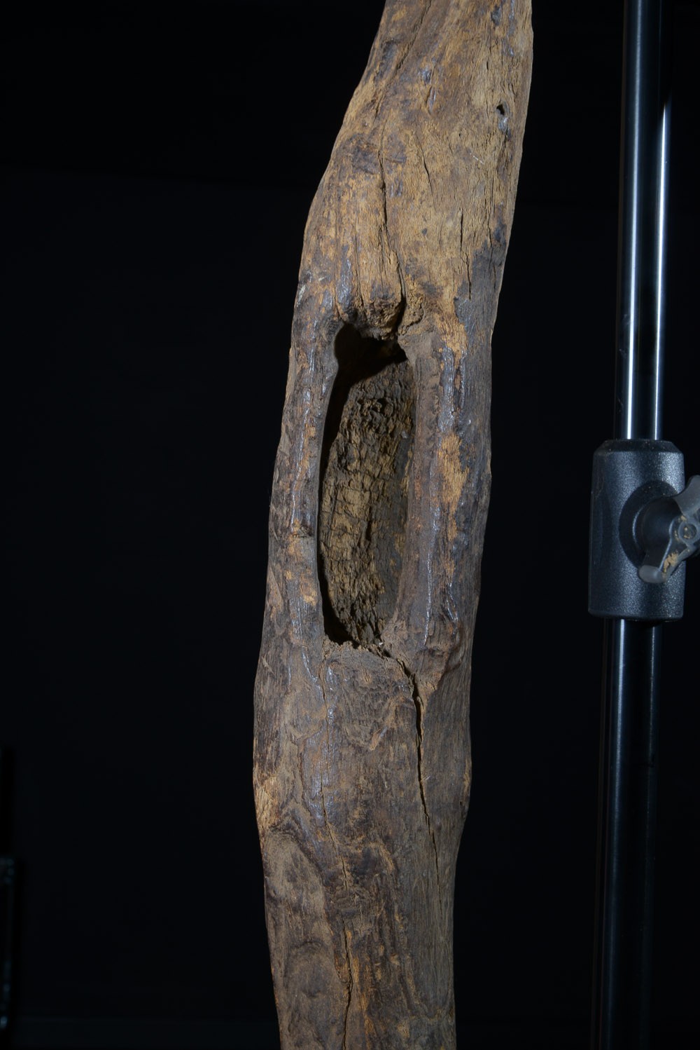 Bouclier en bois - Mumuye - Nigéria
