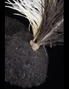 Coiffe de notable en cheveux  - Dodoth - Ouganda