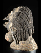Singe Ngil - Bulu / Boulou - Cameroun