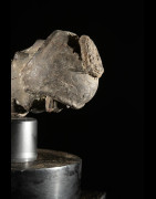 Marotte Janiforme Singe Ngil - Bulu / Boulou - Cameroun