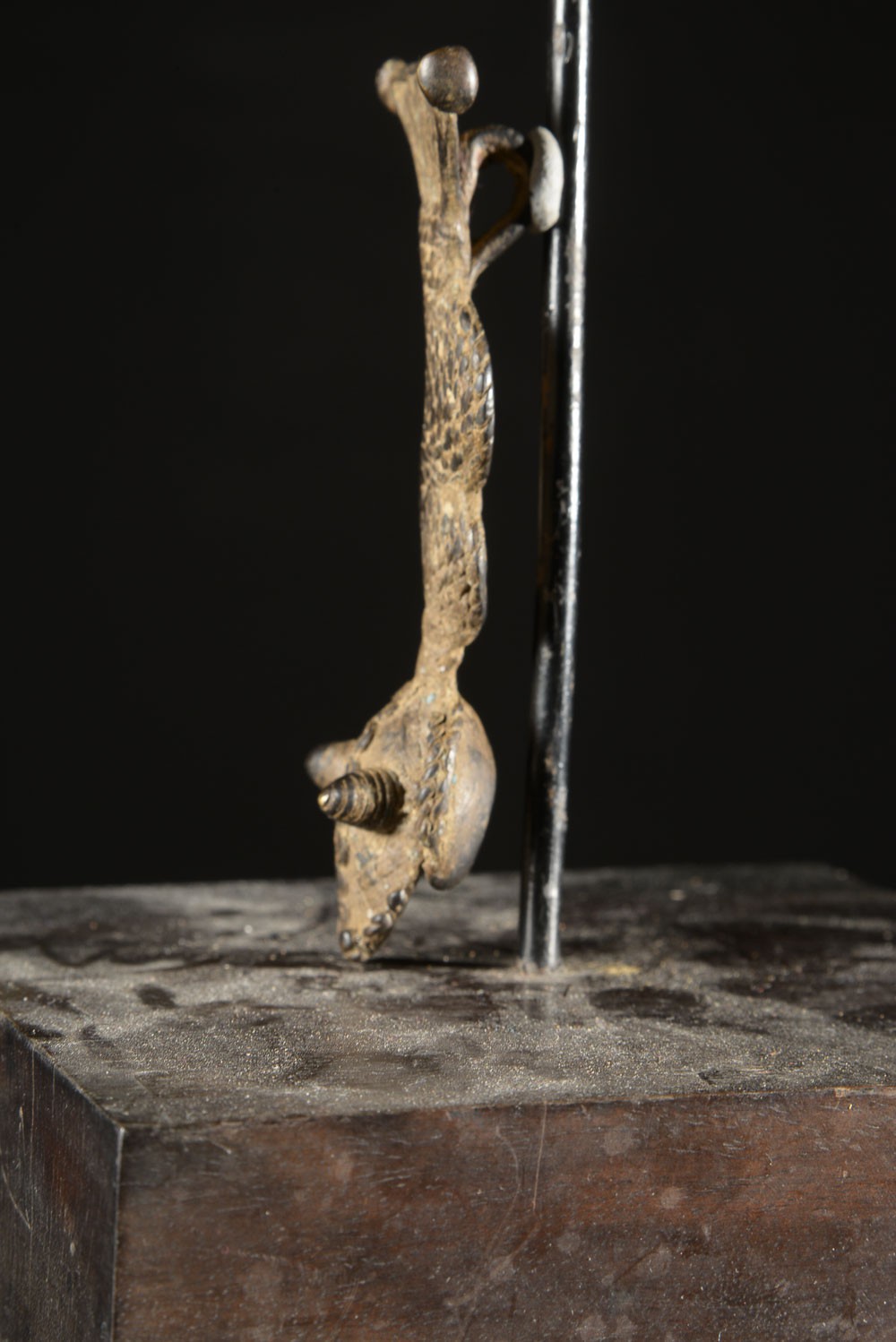 Amulette Jambiere Serpent - Lobi / Gan - Burkina Faso