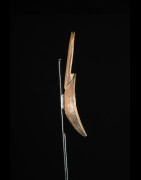 Cuillere Ceremonielle - Tabwa - Angola