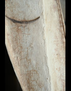Masque casque Ngil - Fang - Gabon - Masques du Gabon