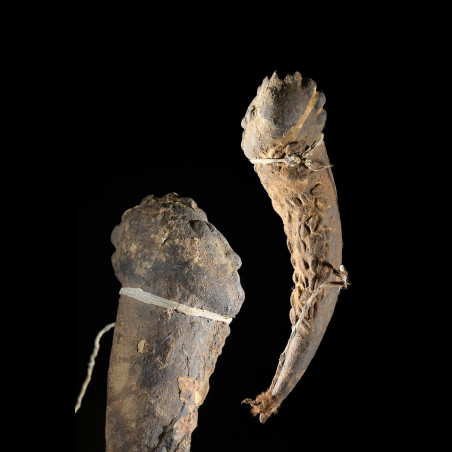 Fétiche zoomorphe Mossi - Burkina Faso