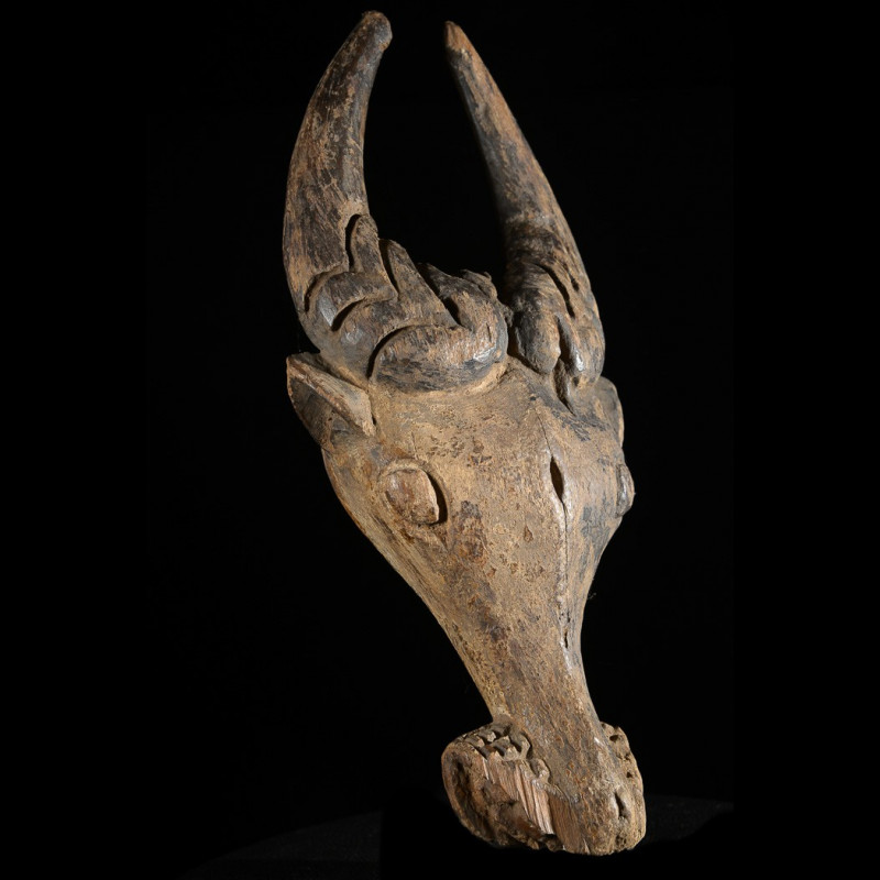 Masque zoomorphe Buffle - Bamoun / Babungo - Cameroun