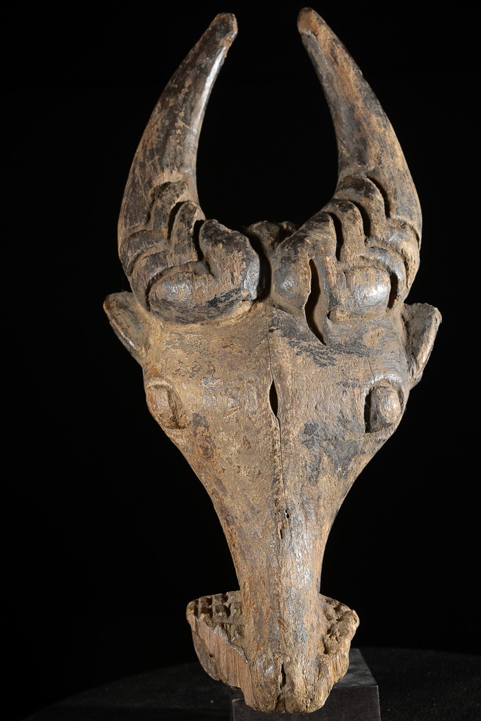 Masque zoomorphe Buffle - Bamoun / Babungo - Cameroun
