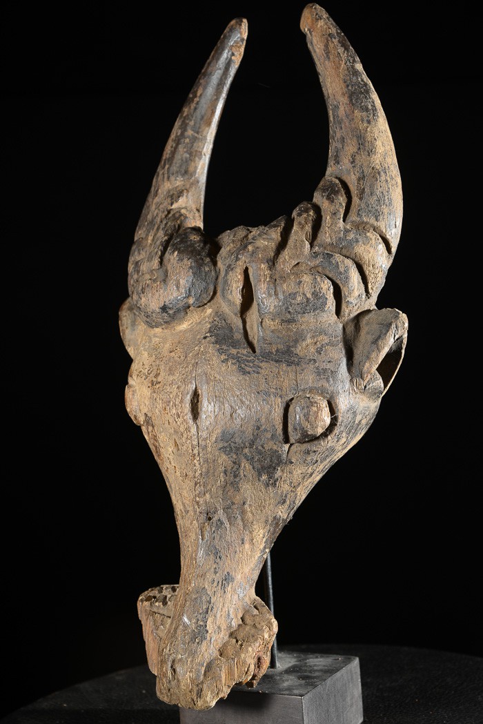 Masque zoomorphe Buffle - Bamoun / Babungo - Cameroun