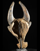 Masque zoomorphe Buffle - Bamoun / Babungo - Cameroun