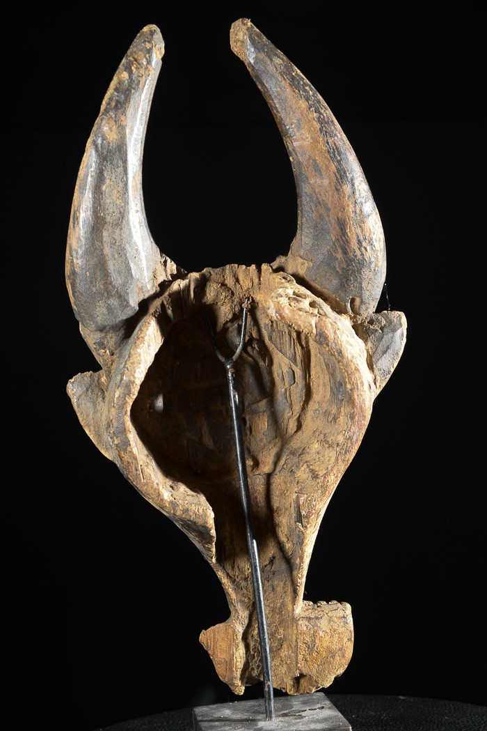 Masque zoomorphe Buffle - Bamoun / Babungo - Cameroun